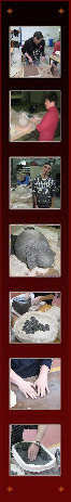 album_esat_briey_1